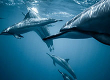 bob半岛体育平台——引领新时代体育娱乐平台